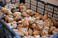 Fresh Jerusalem Artichokes — 3lb Bag | Low Glycemic, Diabetes-Friendly