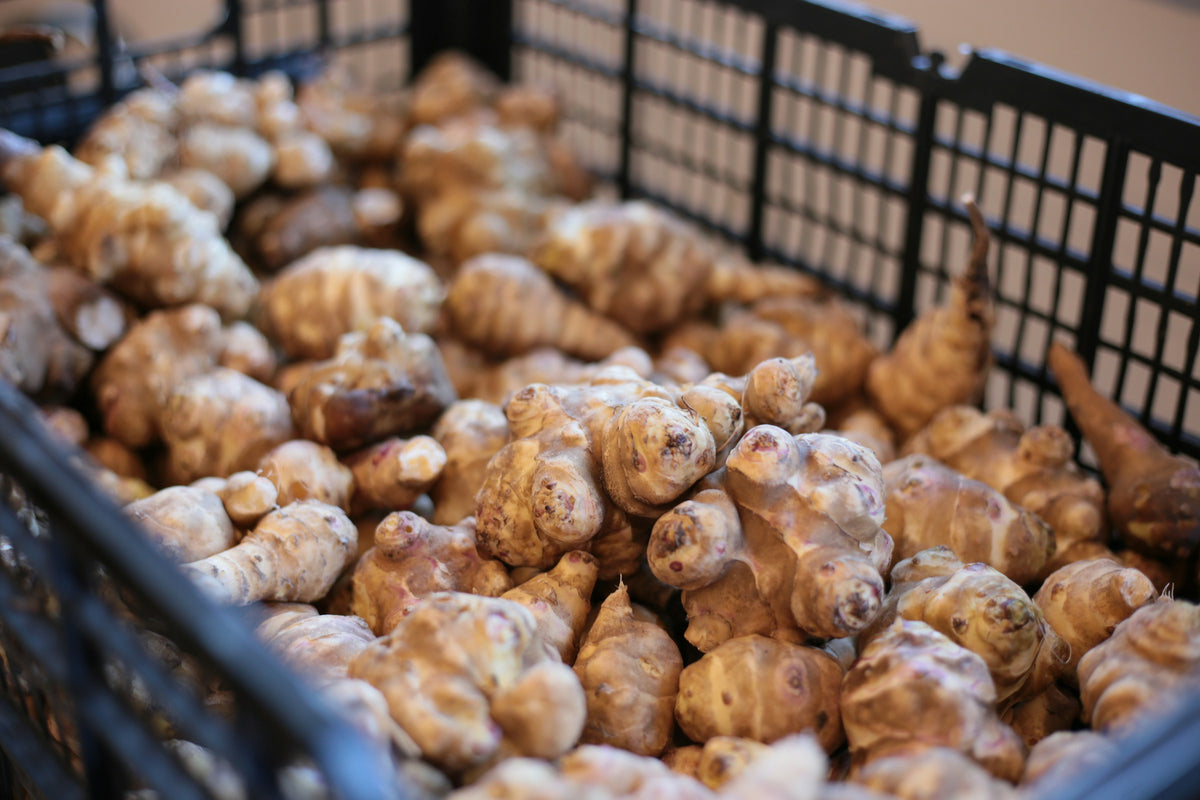 Fresh Jerusalem Artichokes — 3lb Bag | Low Glycemic, Diabetes-Friendly